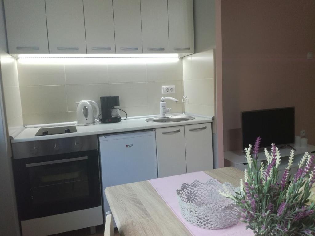 Apartment Marija Sremska Mitrovica Dış mekan fotoğraf