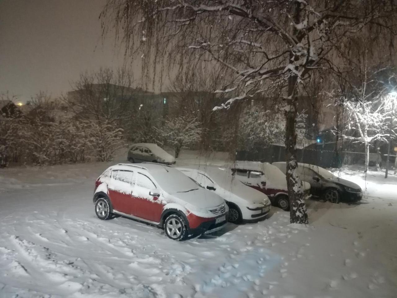 Apartment Marija Sremska Mitrovica Dış mekan fotoğraf